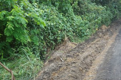 El macabro hallazgo en una via de tercer orden.