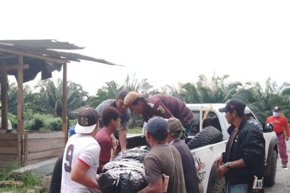 Hasta el momento no se ha logrado identificar a la víctima.