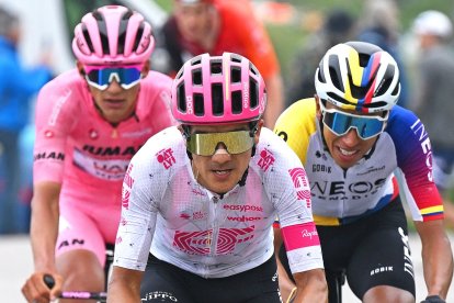 Latinos. Postal regional con Carapaz encabezando un momento el pelotón, ante el asecho de Egan Bernal (d) e Isaac Del Toro.