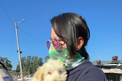 Los animales fueron rescatados y llevados a un lugar seguro.