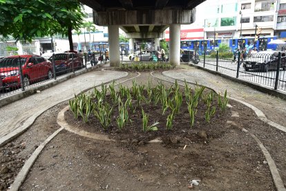 La intervención por parte del Cabildo en este lugar se extendió por dos días. Incluso, sebraron plantas.