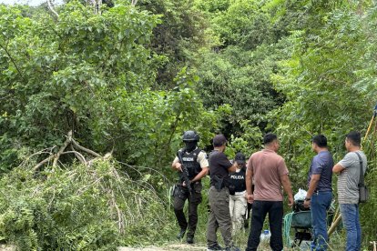 Los cinco cadáveres estaban cerca de un carro, que también fue incinerado en un camino rural, en una zona con vegetación.
ag- periodista
ag - granasa