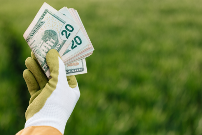 Bono de Desarrollo Humano en junio de 2025: ¿cuándo toca cobrar según la cédula?