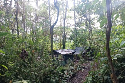 En este sitio se hallaron carpas que servía de punto de descanso de ilegales armados.