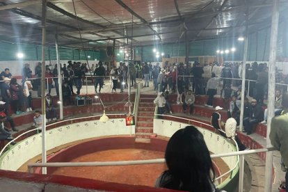 En días anteriores, también clausuró la gallera 'El Piojo', donde se realizaban peleas ilegales de gallos