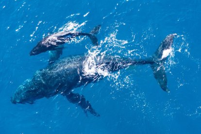 Comunidades costeras que florecen con el turismo azul