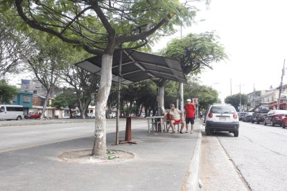 En este parterre de Sauces 5, en Guayaquil, ocurrió el asesinato.