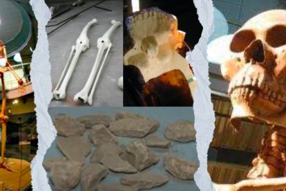 La osamenta del gigante son exhibidos en museos.