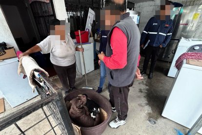 Las autoridades iniciaron las investigaciones del caso.