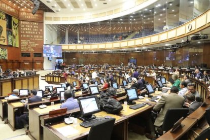 Asamblea tiene 30 días para analizar ley ambiental, silencio activaría vigencia automática