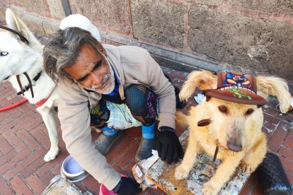 José, Venus y Blanquito, atentos ante los transeúntes de la calle Cuenca.