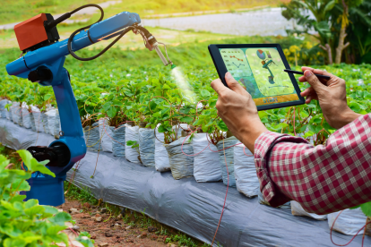Empleo Agro Joven está destinado para emprendedores.