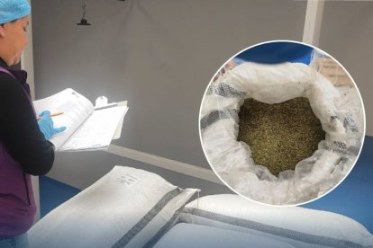 Autoridad sanitaria rastrea cargamento peruano como fuente de la contaminación