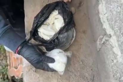 La droga estaba escondida dentro de huecos en el patio de una vivienda.