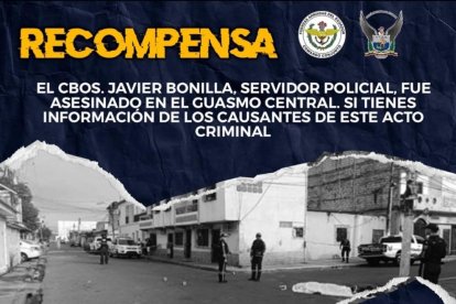 El Gobierno anunció una recompensa para dar con los responsables.