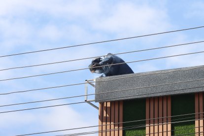 Obreros realizaban trabajos en la infraestructura del local para mejorar la seguridad.