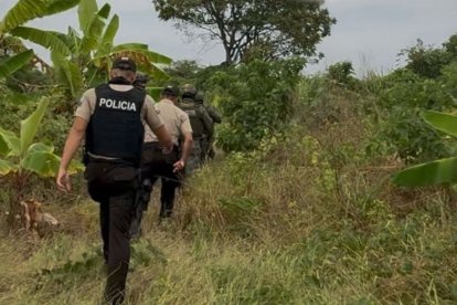 La caleta donde se procesaba la droga estaba oculta entre la maleza.