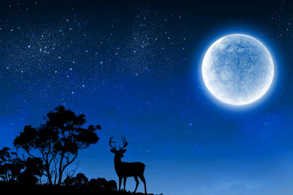 El 4 de julio, Mercurio alcanzará su máxima elongación oeste, siendo el momento perfecto para verlo al amanecer como estrella matutina.