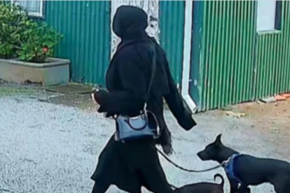 Tamika Chesser salió a pasear a sus perros