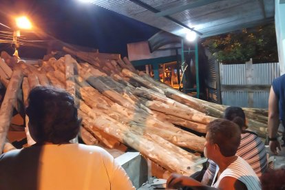 Los troncos cayeron sobre unas personas que estaban cerca de un local.