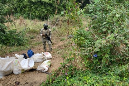 Fusiles y pistolas fueron utilizados en el ataque armado que dejó cuatro muertos en un sector despoblado de la vía a Daule.