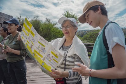 Las guías están disponibles en material impreso y en versión digital.