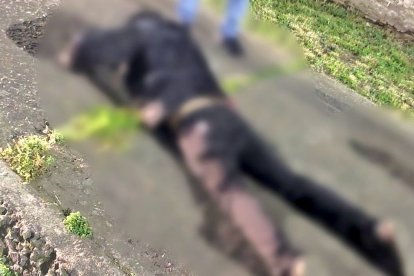 El sujeto todavía no ha sido identificado, tras enfrentamiento en el antiguo Aeropuerto, en Quito.