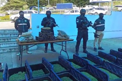 Los agentes incautaron más de 50 kilos de marihuana empacada al vacío.