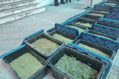 Durante el operativo en Vilcabamba, la Policía incautó más de 300 kilos de marihuana.