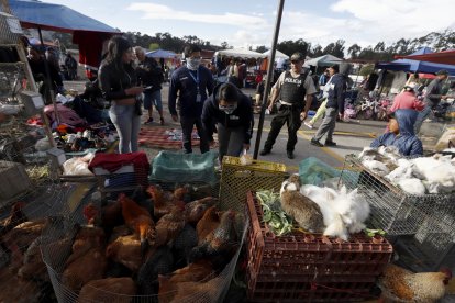 Los operativos se realizan constantemente, pero el delito continúa en muchos mercados.