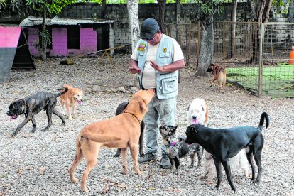 El instructor canino Johan Plaza mientras entrena a una jauría.