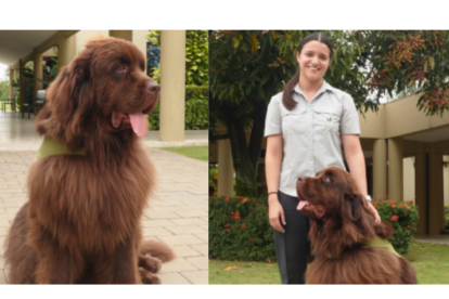 Este es Chubby, el perrito que alegra y tranquiliza a las personas que se encuentran de visita en el Parque de la Pan - La Aurora
