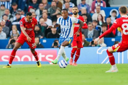 Pervis Estupiñán era titular fijo en Brighton.
