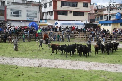 La tradicional arreada del ganado es uno de los eventos más esperados en la comunidad.