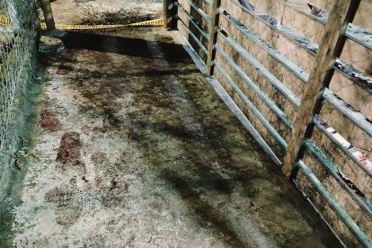 Las huellas del ataque registrado a las 21:00 del domingo.