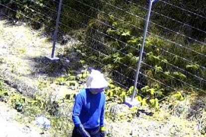 El sujeto fue grabado en las cámaras de seguridad del sector luego del crimen.