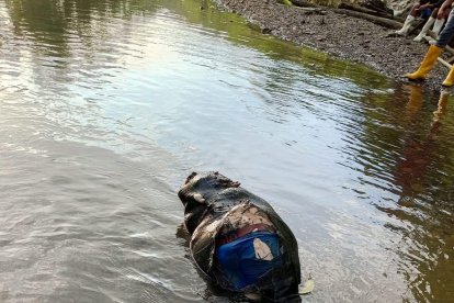 El cuerpo de la víctima estaba florando en un río del sector.