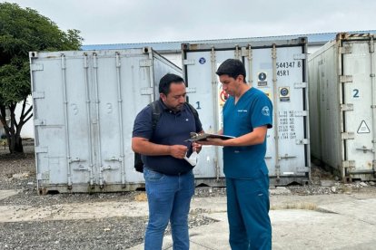 Se siguieron los protocolos para el traslado de los cadáveres.