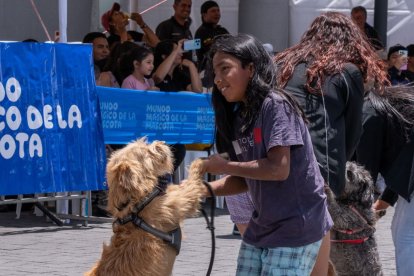 Las mascotas pueden enseñar algunos valores a los niños, según testimonios.