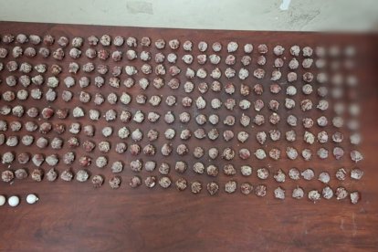 La droga fue ingresada en las bodegas de evidencia de la Policía Nacional.