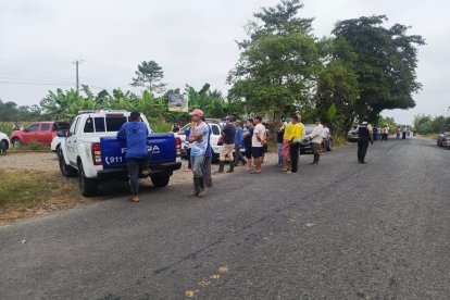 El hallazgo se realizó en una zona de vegetación, junto a una carretera.