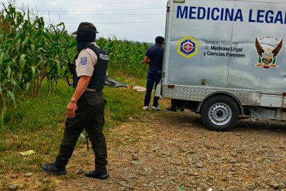 Cerca de maizal hallaron unos sacos con restos de tres personas.