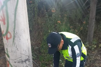 Agentes de tránsito retiraron  los cables de la vía.