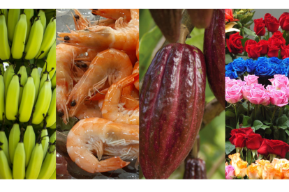 Se busca llegar a un acuerdo con Estados Unidos, para evitar un aumento considerable a nuestros productos.