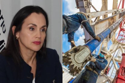 La ministra Inés Manzano denunció públicamente el presunto fraude cometido por Progen.