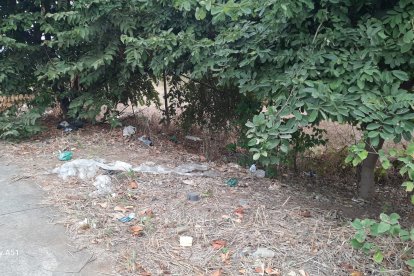 Las fundas, cartones y desechos se encuentran en todos los puntos de Villa del Rey.