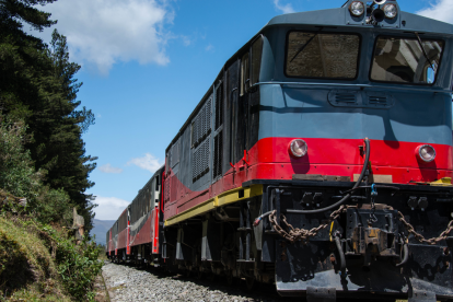 Feriados de Ecuador son aprovechados para visitar sitios turísticos, como los trenes.