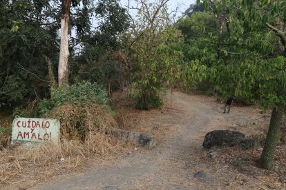 Con un guiño de ojo se identifican las personas, en el bosque Palo Santo.