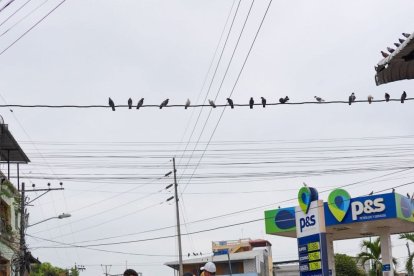 Si muerte aún está en investigación por lo que la familia espera respuestas.