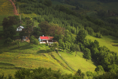 Bajas temperaturas en Pichincha y Azuay afectarán cultivos y ganado del 13 al 15 de agosto, alerta Inamhi.